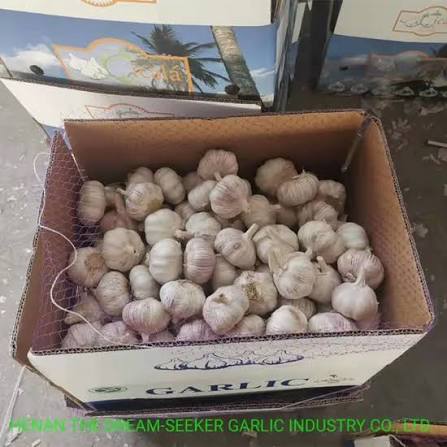 ثومة