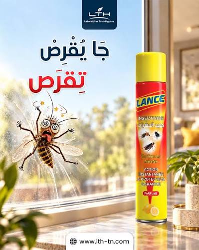 بايكو كبير